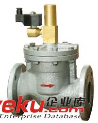 ZCF23D-3防腐電磁閥