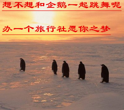 北京拍賣區個人獨資的一家中醫醫學研究院轉讓