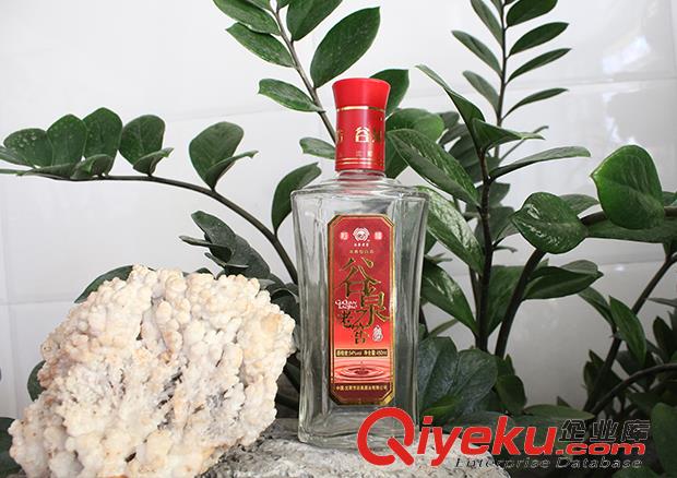 散白酒代理
