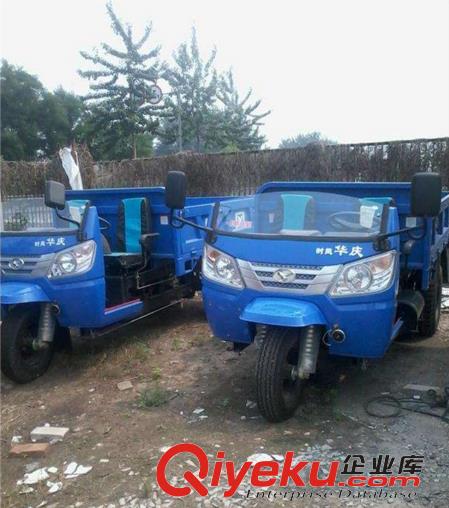 時(shí)風(fēng)華慶三輪車 時(shí)風(fēng)農(nóng)用三輪車 山東時(shí)風(fēng)農(nóng)用三輪車原始圖片3