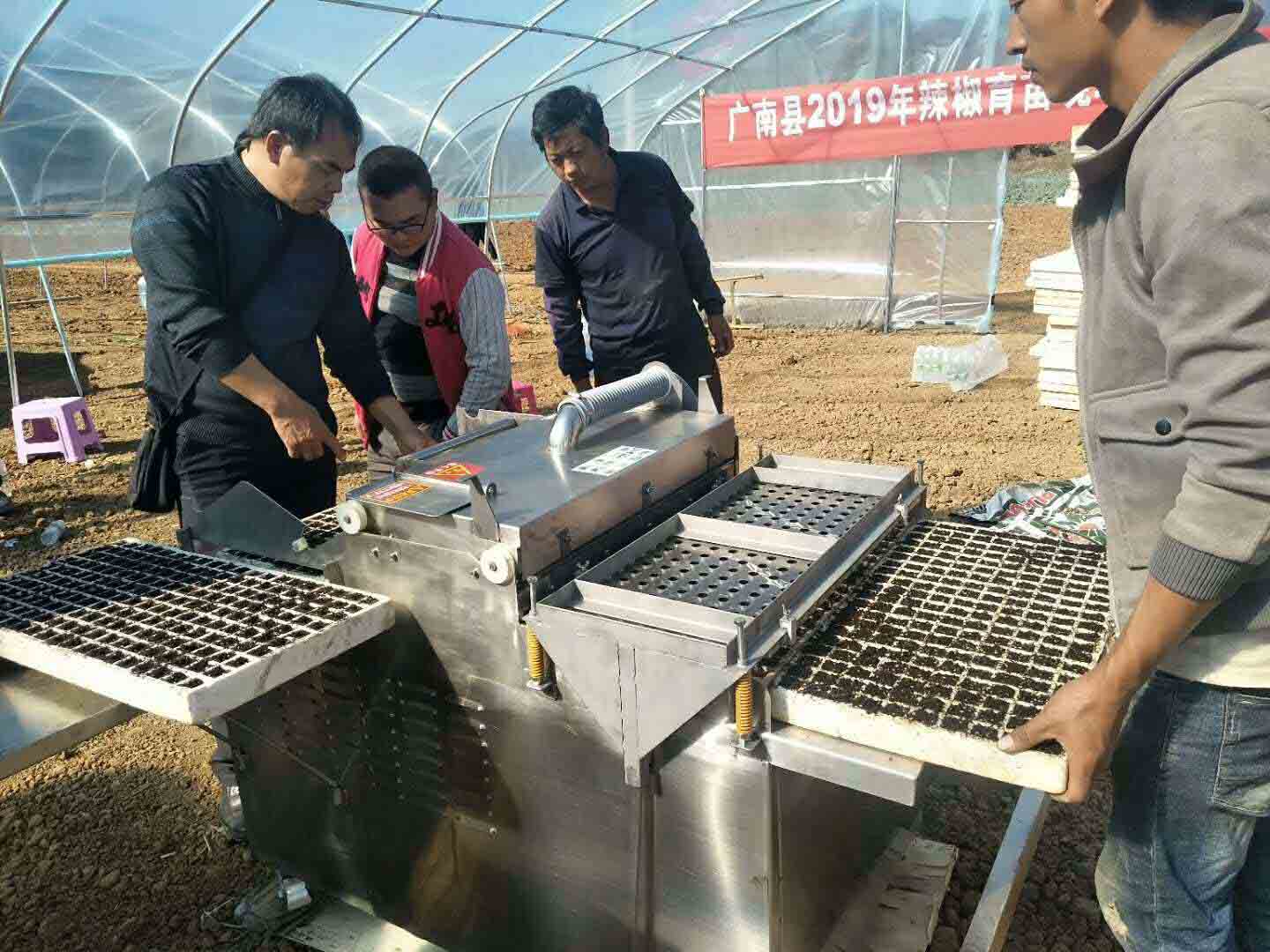 漂盤育苗播種機  泡沫穴育苗播種機--常州風雷精機