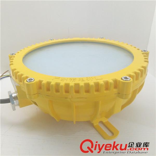LED防爆燈隔爆型車間工廠照明燈罩原始圖片2
