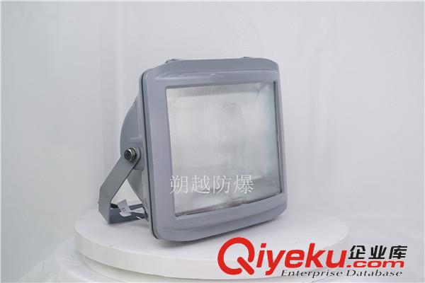 排污廠固定式LED燈具RLERT006-XL150澧陵廠家價格原始圖片2