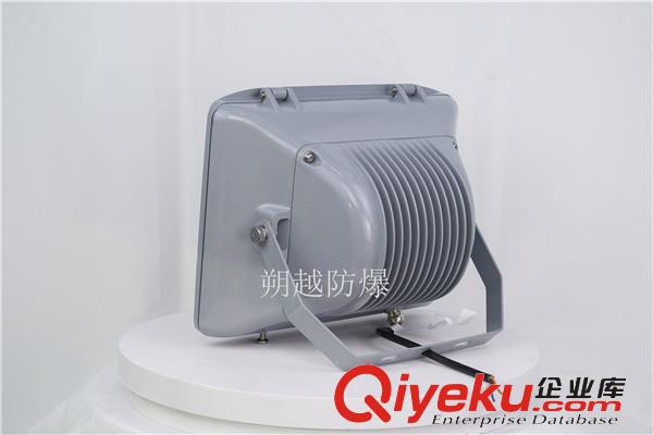 排污廠固定式LED燈具RLERT006-XL150澧陵廠家價格原始圖片3