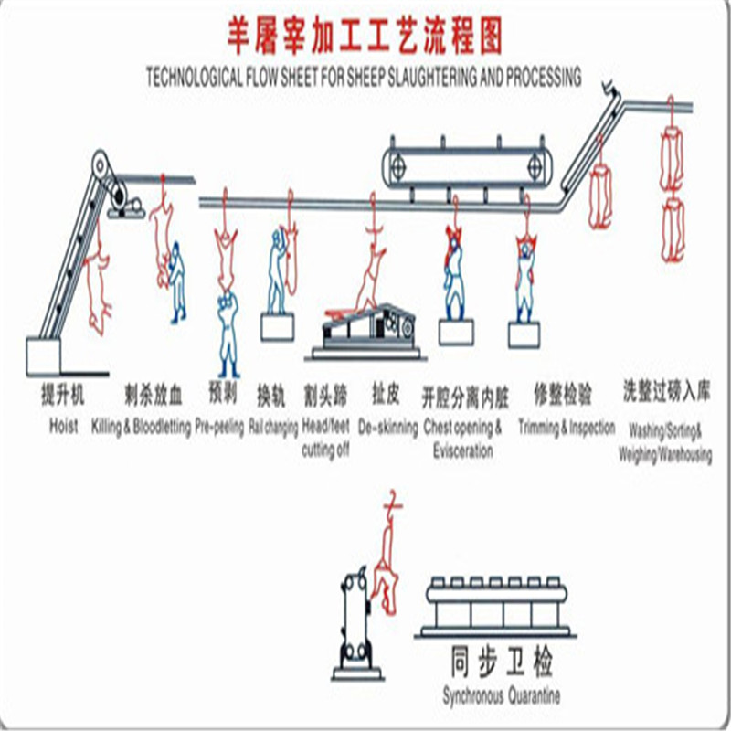 小型豬頭打毛機 供應豬頭脫毛機 