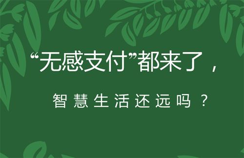 深圳芝麻无感停车、无感支付停车系统