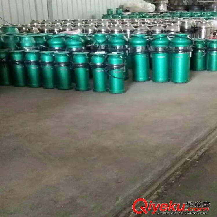 噴泉泵 QSP噴泉專用泵原始圖片3