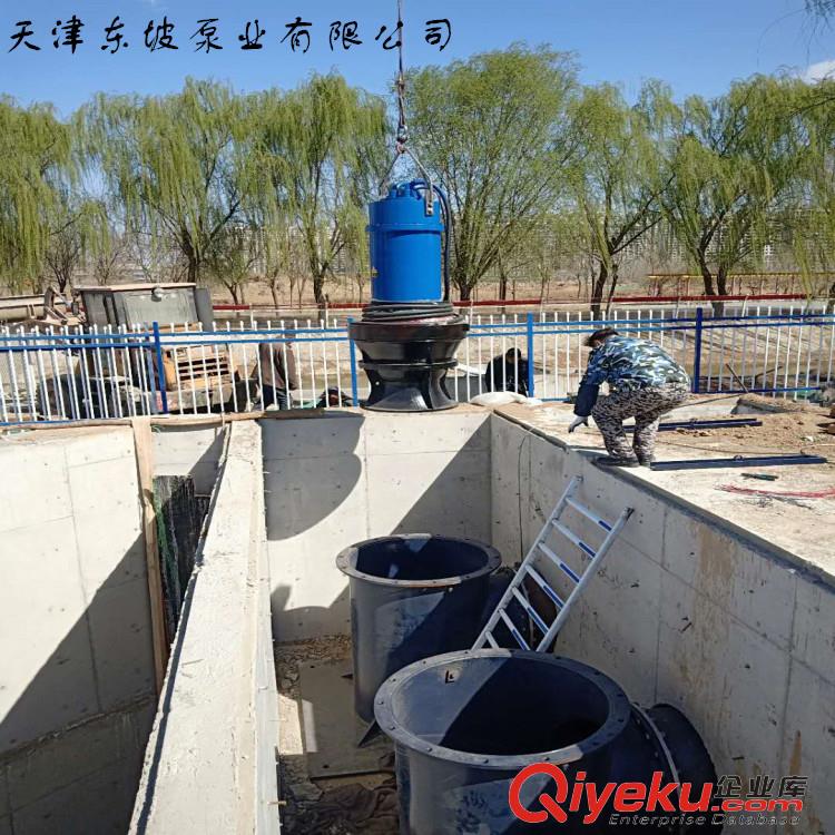 水庫排水用軸流泵