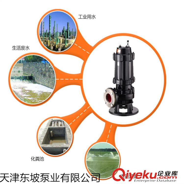 污水處理大流量潛水排污泵