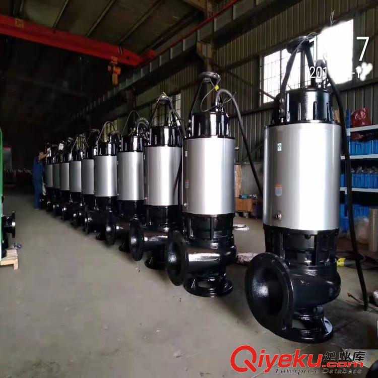 污水處理大流量潛水排污泵原始圖片3