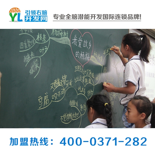 全腦開發(fā)到底給了孩子哪些能力，yl右腦全腦開發(fā)招商加盟原始圖片3
