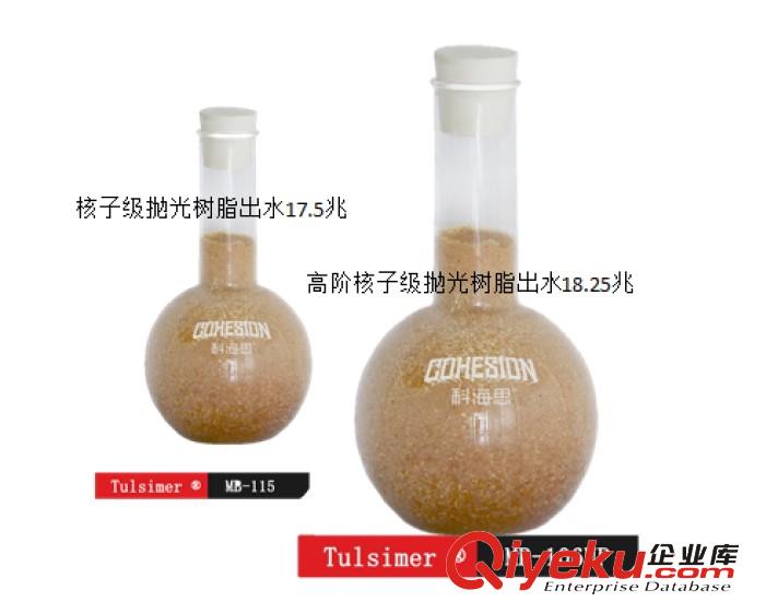 進(jìn)口核子級拋光樹脂出水18.25兆EDI出水每升樹脂產(chǎn)水80噸原始圖片3