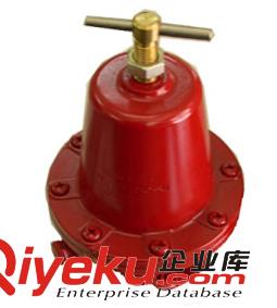 REGO 597FB燃氣調壓器原始圖片3